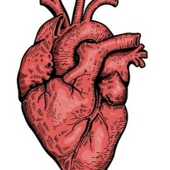 Али Водолацкий, Шымкент