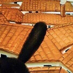 Павел Белоусов, 03.02.1989, Москва