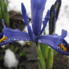 Ольга Шупортяк, 22.11.1984, Черкассы