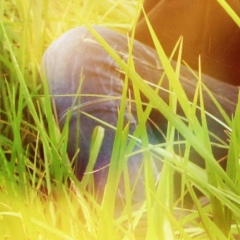 Кристина Васильева, 18.02, Чебоксары