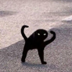 Тима Желтаев, 22.02