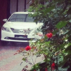 Мухаммад Тумгоев, 14.09.1986