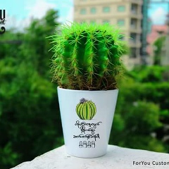 Emily May, 13.01.2001