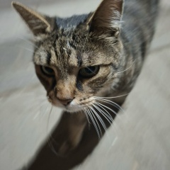 Владимир Брынько, 17.05, Ростов-на-Дону