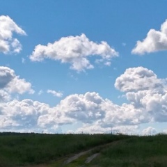 Дмитрий Бочаров