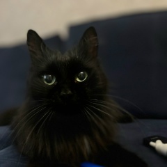 Женя Костюкевич, Москва