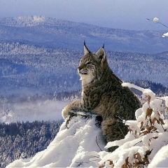 Светлана Попова, 03.05.1980, Барнаул