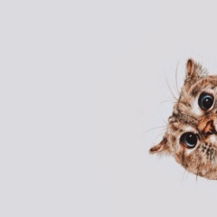 Эльвира Валеева, 30.11.1991, Набережные Челны