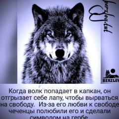 Анвар Шишани, 19.07.1983, Ставрополь