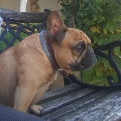 Mihail Uzun, 02.12.1980, İstanbul