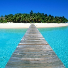 Сергей Харьковский, 01.08, Харьков