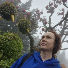 Анна Алфёрова, 17.02