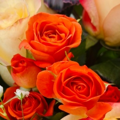 Assel Alimgalieva, 21.01, Атырау