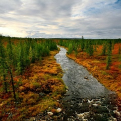 Эльвира Юламанова, Москва
