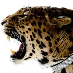 Роман Вундер, 15.09, Ачинск