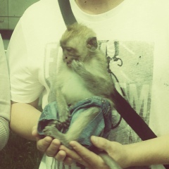 Аня Макатрова, 10.12.1990