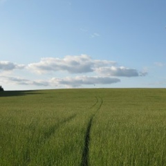 Полина Воробьева, 01.01