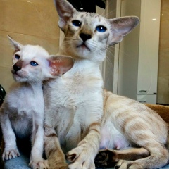 Ирина Богославская, 09.08, Новороссийск