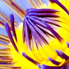 Карлыгаш А, 16.05