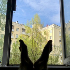 Алексей Алексеев