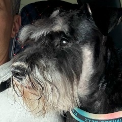 Игорь Саенко