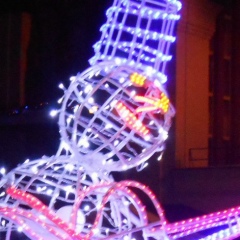 Елена Елисеева