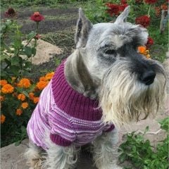 Маргарита Полянская, 26.07.1967, Омск