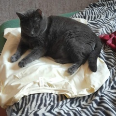 Юля Еремеева, Новосибирск