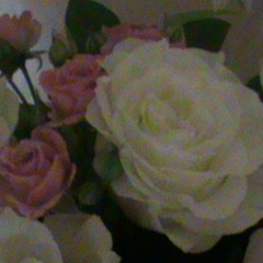 Мария Ковалева, 13.09.1988, Москва