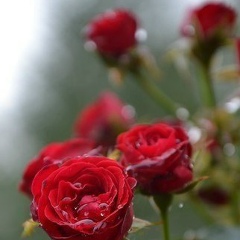 Фариза Суюмаганбетова, 11.10.1988, Атырау