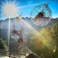 Светлана Шотт, 21.05, Barcelona