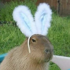 Ірина Заяц, 07.01.1983, Днепр (Днепропетровск)