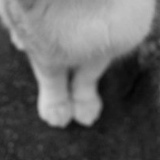 Леонид Илиданов, 12.12, Казань