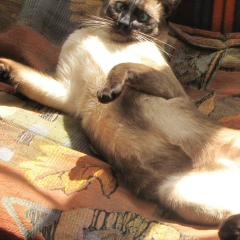 Homo Paranoicus, 06.04.1989, Одесса