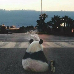 Артем Нестеренко-Морозенко, 01.07.1984, Днепр (Днепропетровск)