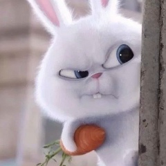 Саша Колесник, 15.05.1992