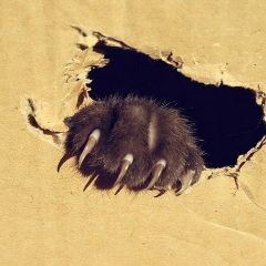 Алексей Черепахин, 16.02.1985, Луганск