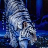 Эмир Айдаров, 29.05, Шымкент