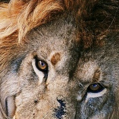 Чынгыз Пакиров, 28.06.1987, Ош