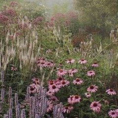 Мару Мару, Москва