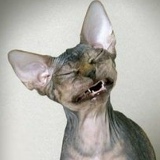 Иван Иванов, 09.02.1977, Санкт-Петербург