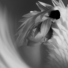 Дмитрий Захаров, 27.02, Санкт-Петербург