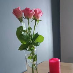 Ольга Одинцова, 16.12, Одесса