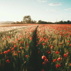 Эльнара Шахрзаева, 05.04, Санкт-Петербург