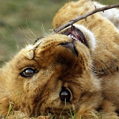Александра Матиевич, 14.08, Москва