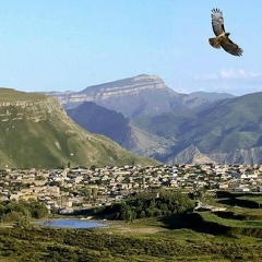 Малик Кардашов, 30.06.1987, Москва