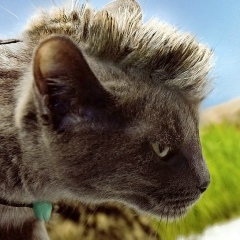 Руслан Яхьяев, 29.08.1989