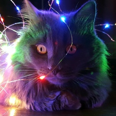 Виктория Кривенко, 29.10.1986, Одесса