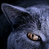 Кирилл Биржаков, 11.07