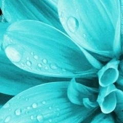 Татьяна Ярус, 06.10, Архангельск